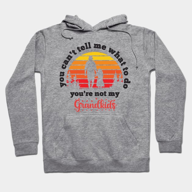 You Can't Tell Me What To Do You're Not My Granddaughter Hoodie by Gaming champion